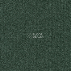 Ковровая плитка Modulyss Millennium Nxtgen Millennium Nxtgen 695 фото 1 | FLOORDEALER